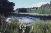 Hällristning Finntorp. Tanum 89:1, L1968:7100.