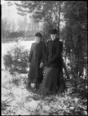 Kvinnor i vinterland