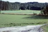 Hällristning Finntorp. Tanum 90:1, L1968:7890.