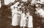 En grupp sommarklädda personer har samlats i en trädgård för fotografen.
Trol. Ruth och Blenda Svensson med mor Helga, mostrar, fastrar och andra släktingar. Den unge mannen i bakgrunden kan möjl. vara Seved Svensson, äldre bror till Ruth och Blenda.
