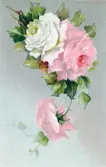 Brevkort med motiv av blomma, Födelsedagshälsning på baksidan, adresserat Sonja Sundberg från Alice och Astrid.