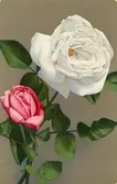 Brevkort med motiv av blomma. Text på baksidan 