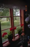 Mellerud Svecklingebyn 1:39  Ör
