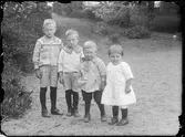 Syskonskara