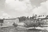 Gårdsmiljö på Vinö. Boningshuset, till vänster i bild, är en tvåvånings parstuga, tillika ryggåsstuga. Mellan det och ekonomibyggnaderna ser vi några fruktträd.