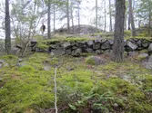 Vägbankar