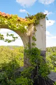 Villa Vegeta