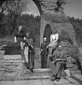Sällskap vid Alvastra klosterruin