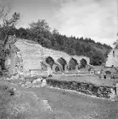 Alvastra klosterruin