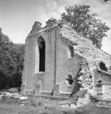 Alvastra klosterruin