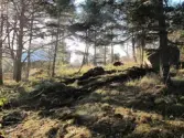 Stavsborg Färentuna