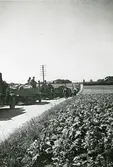 Brigadövning. Beredskap i Skåne 1944 (enligt text i album).