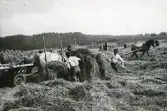Höbärgning (enligt text i album).