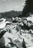 Sjömanöver 1946. Segerns frukter njutas (enligt text i album).