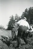 Sjömanöver 1946. 