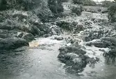 Wales 1948 (enligt text i album).