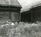 Lottagården i Kvek (Kvekgården), Fröslunda i Uppsala län (enligt text i album).