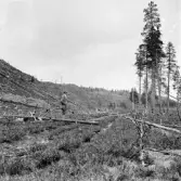 Idre. Storån. Rullstenskullar (avbrända) mot Storån.

