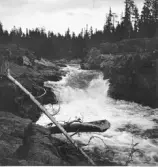 Idre. Grövelsjön. Från Långfjället. 


