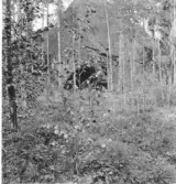 Idre. Häggesundet. Flyttblock.

