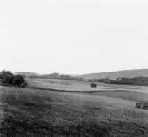 Stora Skedvi. Piparbo. Dalen och gammelgården från Piparbo.

