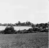 Stora Skedvi. Rasbo vid Rasjön S. ända.

