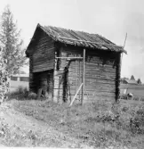 Stora Skedvi. Stocksbro. Skommars (härbre)

