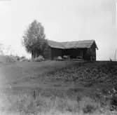 Stora Skedvi. Västerby. Knuts.

