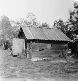Stora Skedvi. Storsveden, Sporrs smedja. 1926.