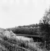 Stora Skedvi. Krafsbo gård, Krafsbosjön ( kallades förr Blåtila) 1927.