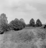 Stora Skedvi. Ansta. Hyttplatsen. 1927.