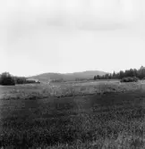 Stora Skedvi. Krafsbo gård, kökelbo ägor. 1927.