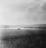 Stora Skedvi. Utsikt från Bengsbo, Djusaberget och sjön med Fjägeråsen i bakgrunden. 1927.