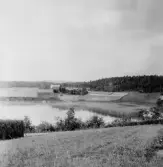Stora Skedvi. Dyviken. Hinders gård närmast, Trädgårds bakom, gumman Björklunds stuga och Haglunds ödestuga till höger på andra sidan viken. 1927.
