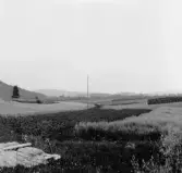 Stora Skedvi. Djusaberget (i Husby) och Anstaberget i bakgrunden. Från Pelles i Orrsta. 1927.