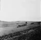 Stora Skedvi. Piparbo. Tvärhandsmyren från Piparbo. Hysta i bakgrunden. 1927.