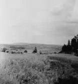 Stora Skedvi. Utsiktsvy tagen från Hagmans med Kolstens i förgrunden. Hjortgården, Kasseby, Ansta och Orrsta i bakgrunden. 1927.