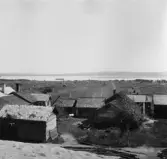 Mora. Bonäs. Strandterassen och Orsajön från flygsandsplatån. 1916.