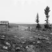 Gagnef. Från Jansolles buan. Frötjärnberget i bakgrunden. 1920.