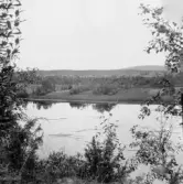 Gagnef. Älven vid Bodarna. Tomtänget, Svedjan, Andershol och (till höger) Sustuberget på andra sidan. 1920.