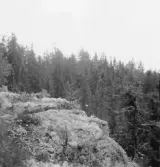 Gagnef. Från ättestupan vid Trolldalen. 1920.