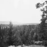 Gagnef. Från ättestupan vid Trolldalen. 1920.