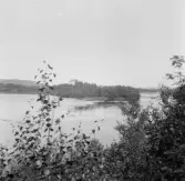 Gagnef. Älvmötet från Djurås. Västerdalälven till vänster. Österdalälven till höger. Sjukstugan i bakgrunden. 1912.