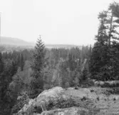 Gagnef. Från ättestupan vid Trolldalen. 1920.