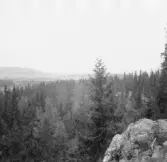 Gagnef. Från ättestupan vid Trolldalen. 1920.