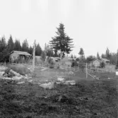 Gagnef. Jansolles buan. 1920.