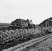 Gagnef. Ödegård, Rista. Halmtak på fäjset. 1920.
