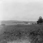 Stora Skedvi. Från Enålarna åt norr. Matsknuts i Tyskbo närmast. 1927.