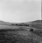 Stora Skedvi. Bobygden från Lilla Klingsbo. 1927.
