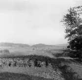 Stora Skedvi. Dalen och Skinnarbo från Salmakarbo. 1927.